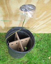 Hanging planter on a wall panel